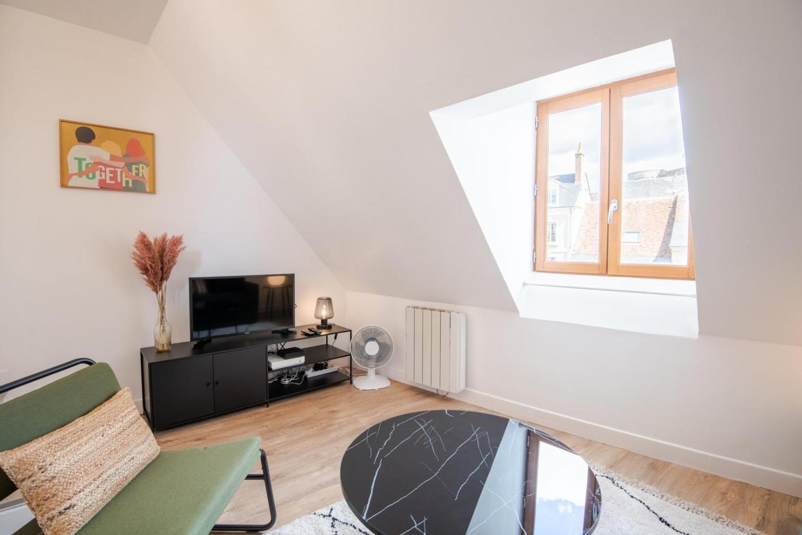 Appartamento Les Mansardes Amboisiennes Amboise Esterno foto